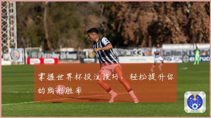 掌握世界杯投注技巧，轻松提升你的购彩胜率